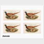 Farbenfroher Fasan Rechteckiger Aufkleber (Blatt)