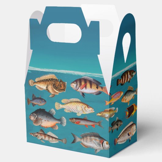 Farbenfroher Fisch unter blauem Meer Geschenkschachtel (Geöffnet)