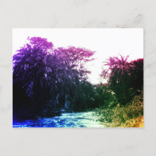 Farbenfroher Fluss Gallery Forest Vintag Tropical Postkarte
