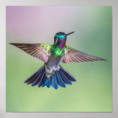 Farbenfroher Flying Hummingbird Poster (Vorne)