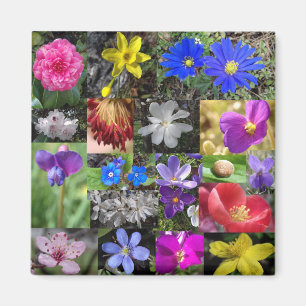 farbenfroher Frühling - Magnet
