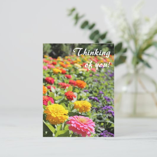 Farbenfroher Garten Dahlias 'Denken Sie an Sie' Po Postkarte (Stehend Vorderseite)