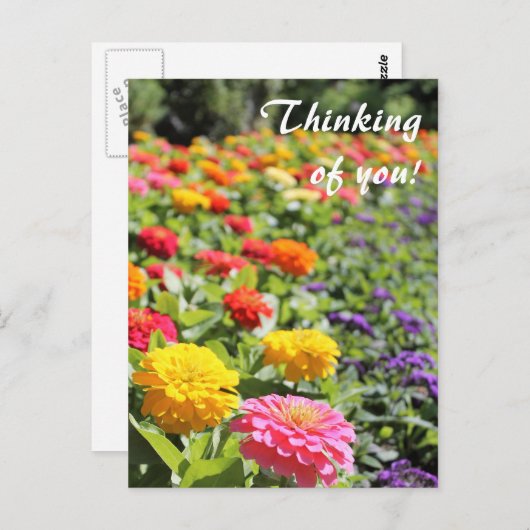 Farbenfroher Garten Dahlias 'Denken Sie an Sie' Po Postkarte (Vorne/Hinten)