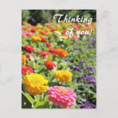 Farbenfroher Garten Dahlias 'Denken Sie an Sie' Po Postkarte (Vorderseite)