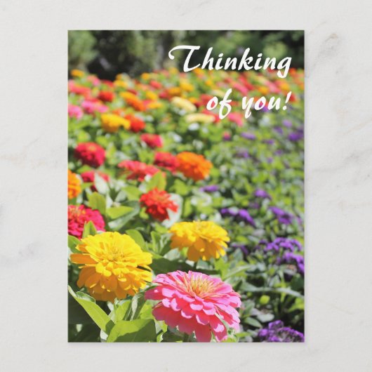 Farbenfroher Garten Dahlias 'Denken Sie an Sie' Po Postkarte (Vorderseite)