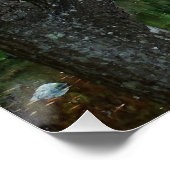 Farbenfroher Garten Teich Saisonale Landschaft Poster (Ecke)