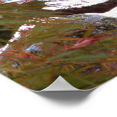 Farbenfroher Gnarly Japanese Maple Tree Poster (Ecke)