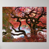 Farbenfroher Gnarly Japanese Maple Tree Poster (Vorne)