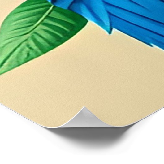 Farbenfroher Kingfisher Bird auf Zweig Poster (Ecke)