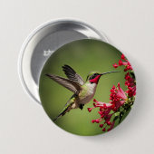 Farbenfroher Kolibri Button (Vorne & Hinten)