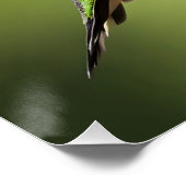 Farbenfroher Kolibri Poster (Ecke)