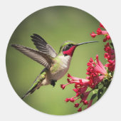 Farbenfroher Kolibri Runder Aufkleber (Vorderseite)