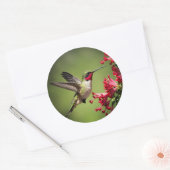 Farbenfroher Kolibri Runder Aufkleber (Umschlag)