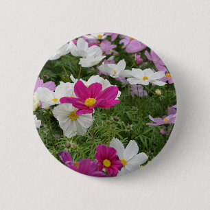 Farbenfroher Kosmoblütengarten Button