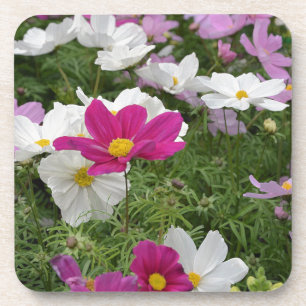 Farbenfroher Kosmoblütengarten Untersetzer