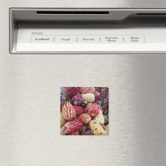 Farbenfroher Maismagnet Magnet (In Situ (Geschirrspüler))