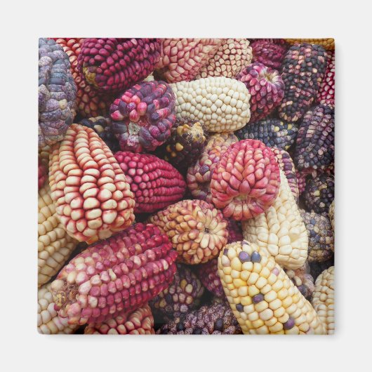 Farbenfroher Maismagnet Magnet (Vorne)