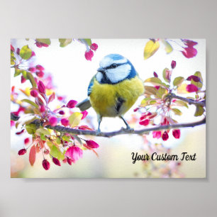 Farbenfroher Singvogel & Frühlingsblüten, Ihre Nac Poster