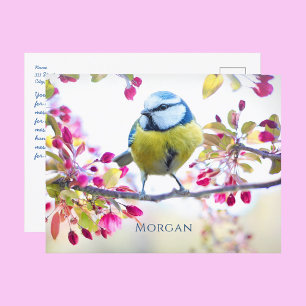 Farbenfroher Singvogel, Frühlingsblüten, Name, Nac Postkarte