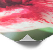 Farbenfroher Strauß von Blume Poster (Ecke)