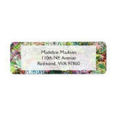 Farbenfroher, sukkultureller Garten (Vorne)