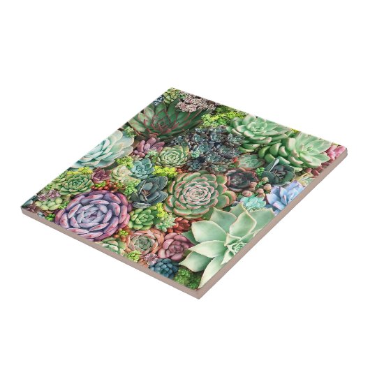 Farbenfroher, sukkultureller Garten Fliese (Seite)