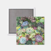 Farbenfroher, sukkultureller Garten Magnet (Vorderseite/Rückseite)