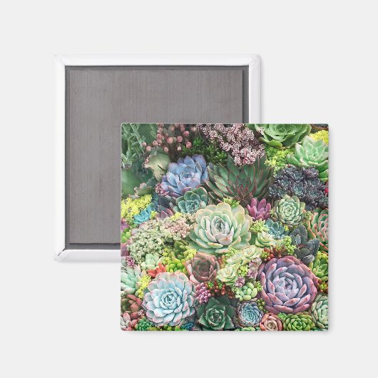 Farbenfroher, sukkultureller Garten Magnet (Vorderseite/Rückseite)