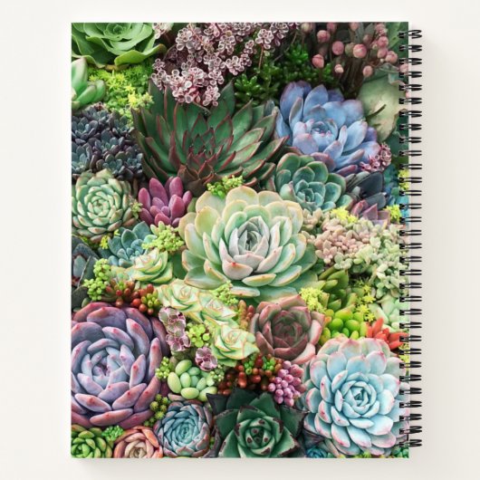 Farbenfroher, sukkultureller Garten Notizblock (Rückseite)