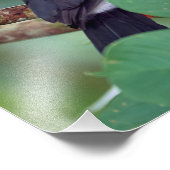 Farbenfroher Toukan auf einem Baumzweig Fotodruck (Ecke)