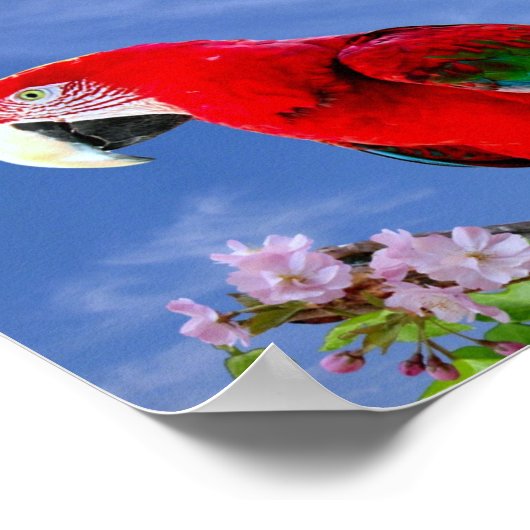 Farbenfroher Tropenpapagei Poster (Ecke)