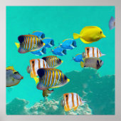 Farbenfroher tropischer Fisch Ein Korallenriff Poster (Vorne)