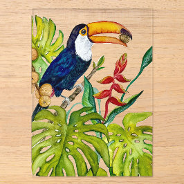Farbenfroher Tukan Aquarell Tropischer Vogel Acryleinladungen