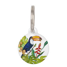 Farbenfroher Tukan Aquarell Tropischer Vogel Haustiermarke