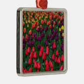 Farbenfroher Tulpenblumengarten Silbernes Ornament (Rechts)