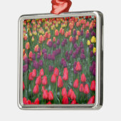 Farbenfroher Tulpenblumengarten Silbernes Ornament (Links)