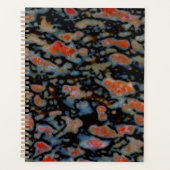 Farbenfroher versteinerter Dinosaurier Bone Planer (Vorderseite)