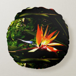 Farbenfroher Vogel der Paradise Blume Kissen