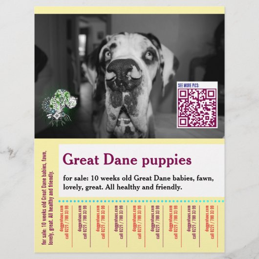 Farbenfrohes Abreiß-Hunde-Flugblatt Flyer (Vorne)