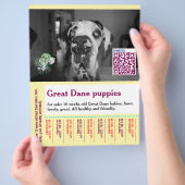 Farbenfrohes Abreiß-Hunde-Flugblatt Flyer (Hand)