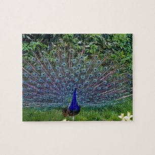 Farbenfrohes Muster Vogel Pfau Kunst Indisches Sch Puzzle