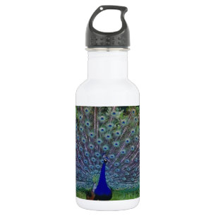 Farbenfrohes Muster Vogel Pfau Kunst Indisches Sch Trinkflasche