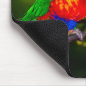 Farbenfrohes Paar küssender Papageien Mousepad (Ecke)