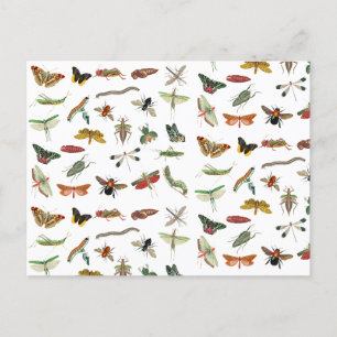 Farbenfrohes Vintage-Insekten-Illustrationsmuster Feiertagspostkarte
