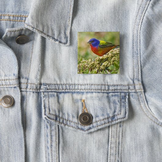 Farbenjagd Button (Beispiel)