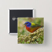 Farbenjagd Button (Vorne & Hinten)