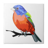 Farbenjagd Fliese (Vorderseite)