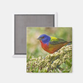 Farbenjagd Magnet (Vorderseite/Rückseite)