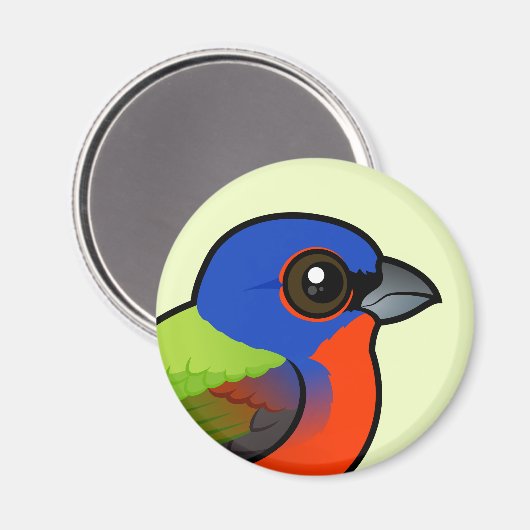 Farbenjagd Magnet (Vorderseite/Rückseite)