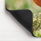 Farbenjagd Mousepad (Ecke)